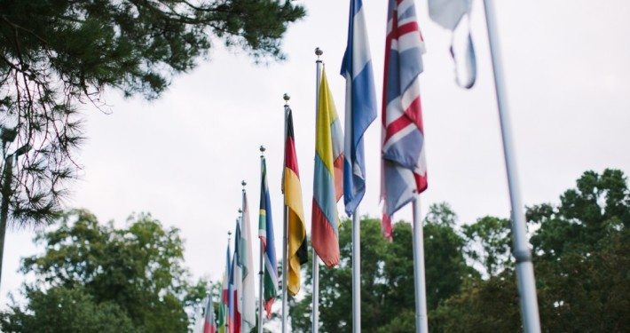 Raised Flags in White sky Background