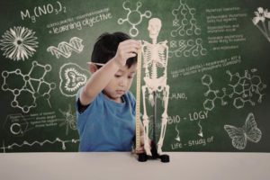 Little boy measuring height of human skeleton